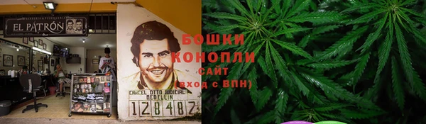 ПСИЛОЦИБИНОВЫЕ ГРИБЫ Краснослободск