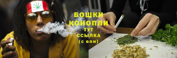 PSILOCYBIN Балашиха