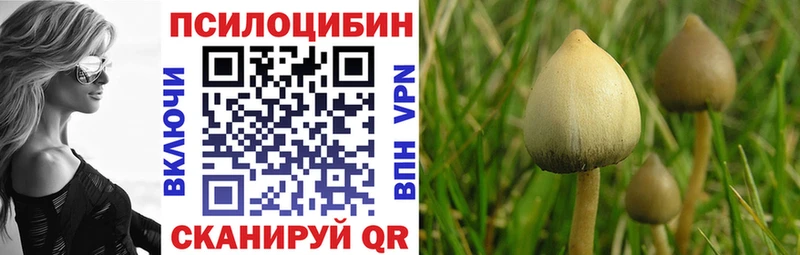 мега ТОР  Эртиль  Псилоцибиновые грибы Psilocybe 